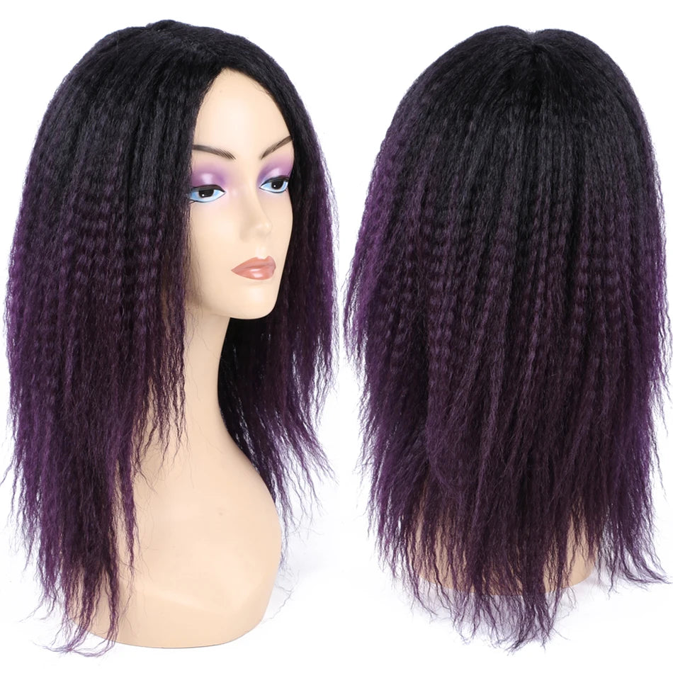 Kinky Curly Hair Wig