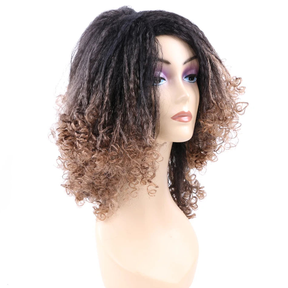 Kinky Curly Hair Wig