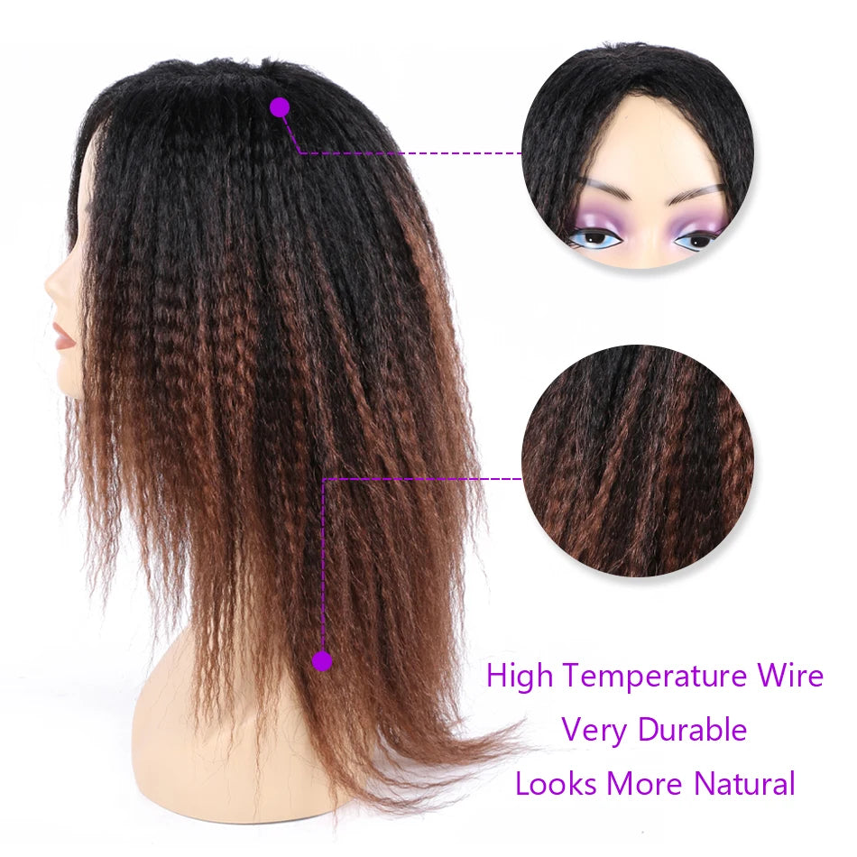 Kinky Curly Hair Wig