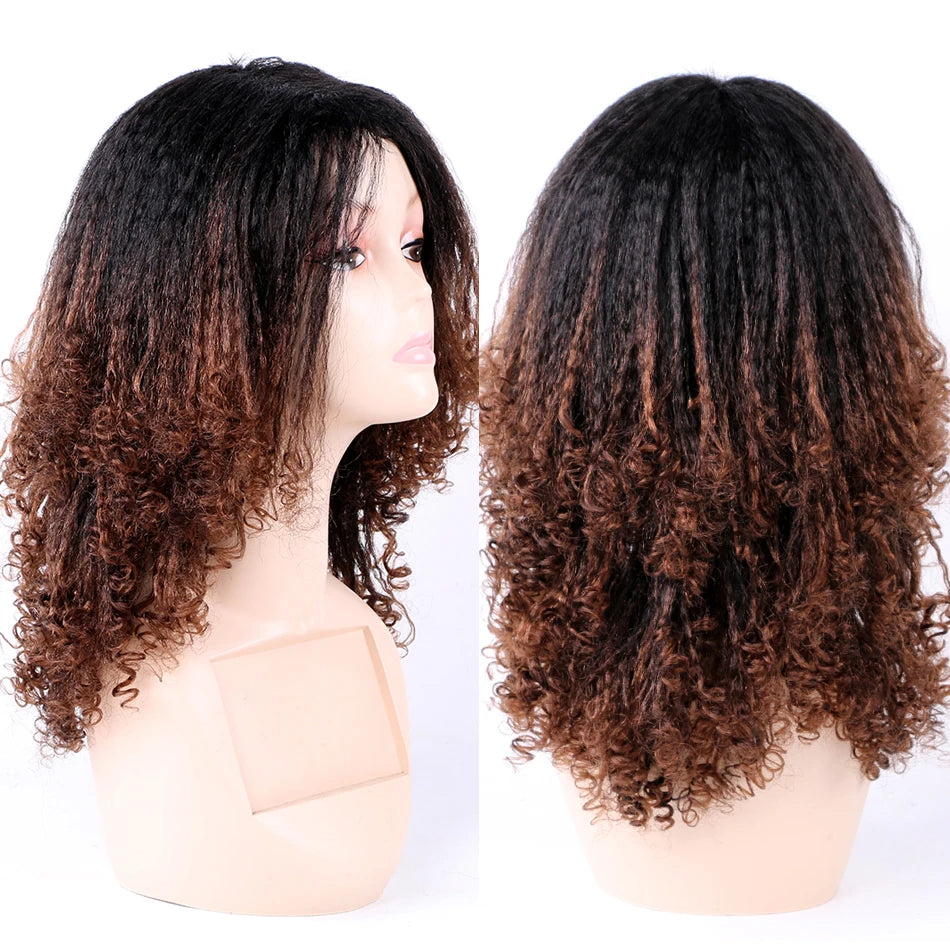 Kinky Curly Hair Wig