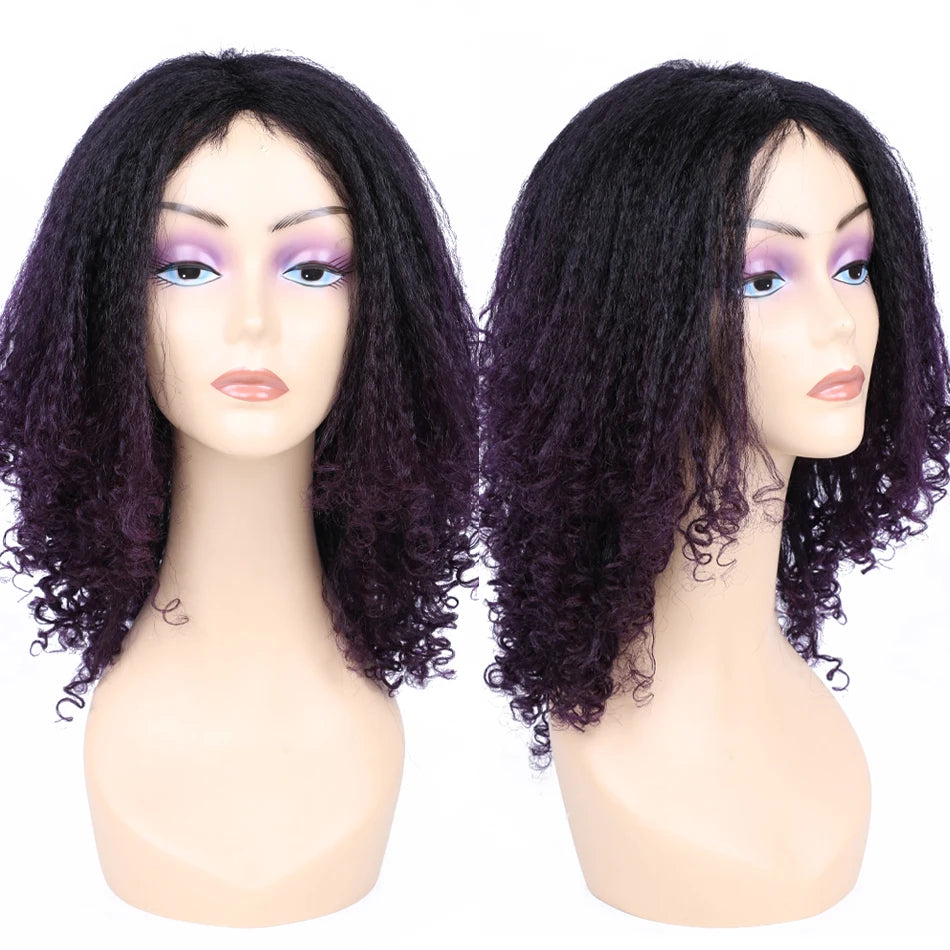 Kinky Curly Hair Wig