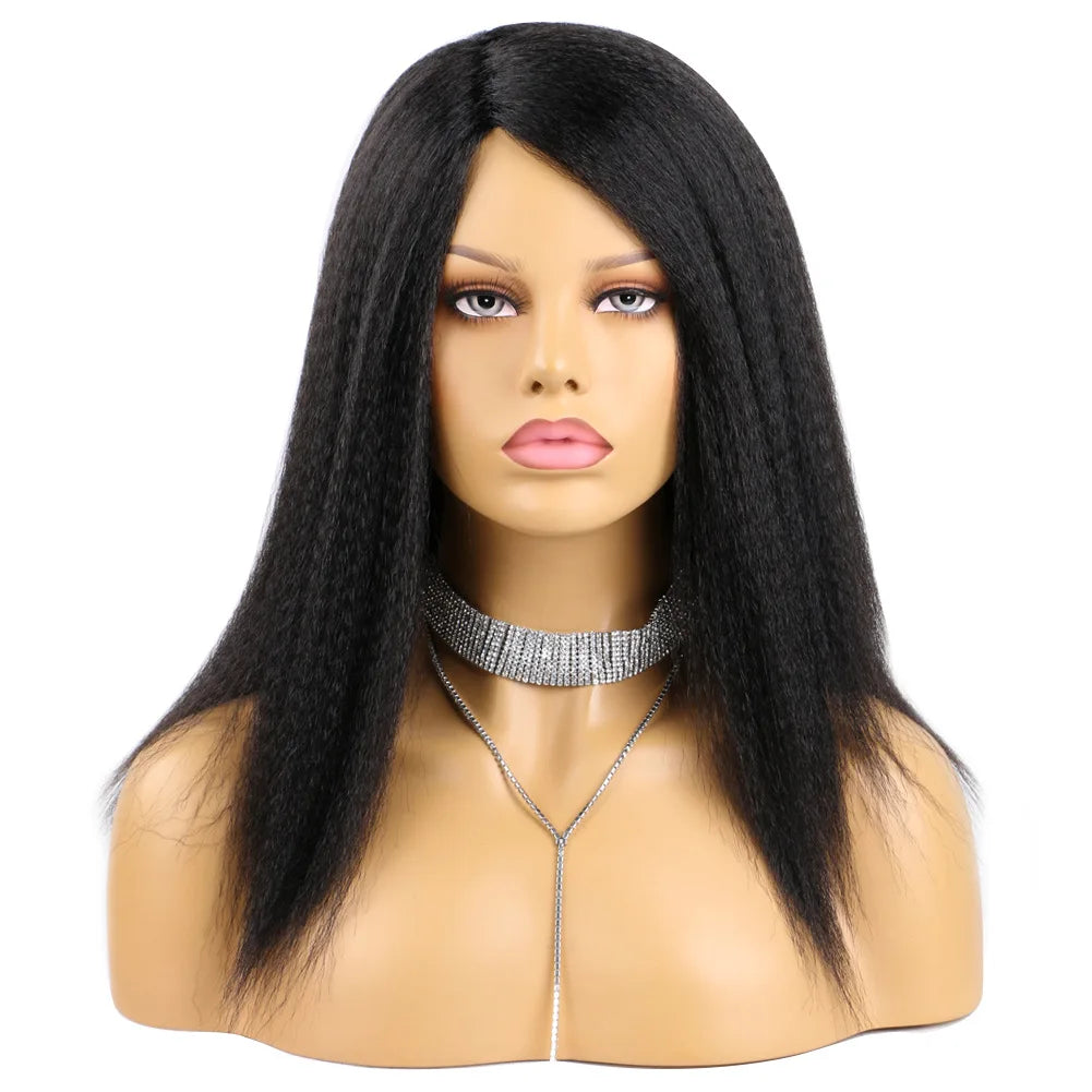 Kinky Curly Hair Wig