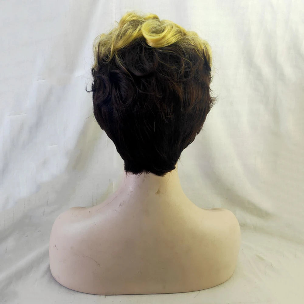 Short Curly African American  Wig