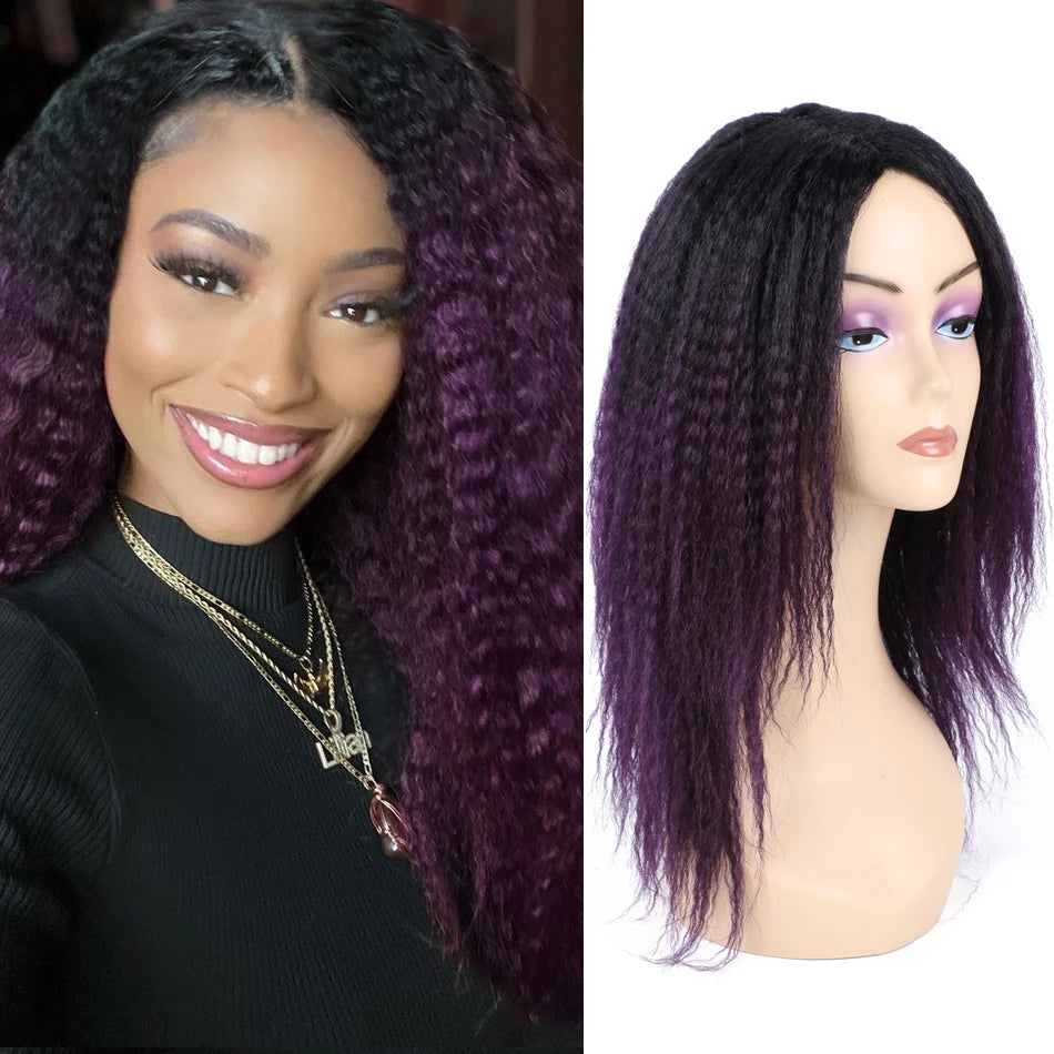 Kinky Curly Hair Wig